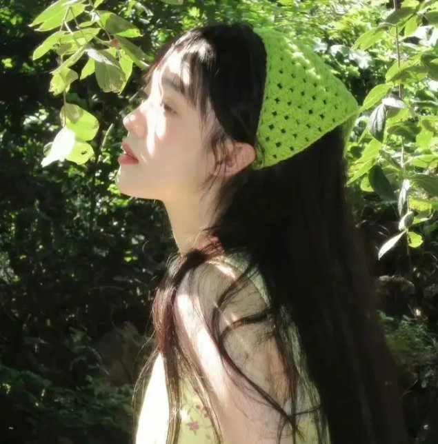 追蝶